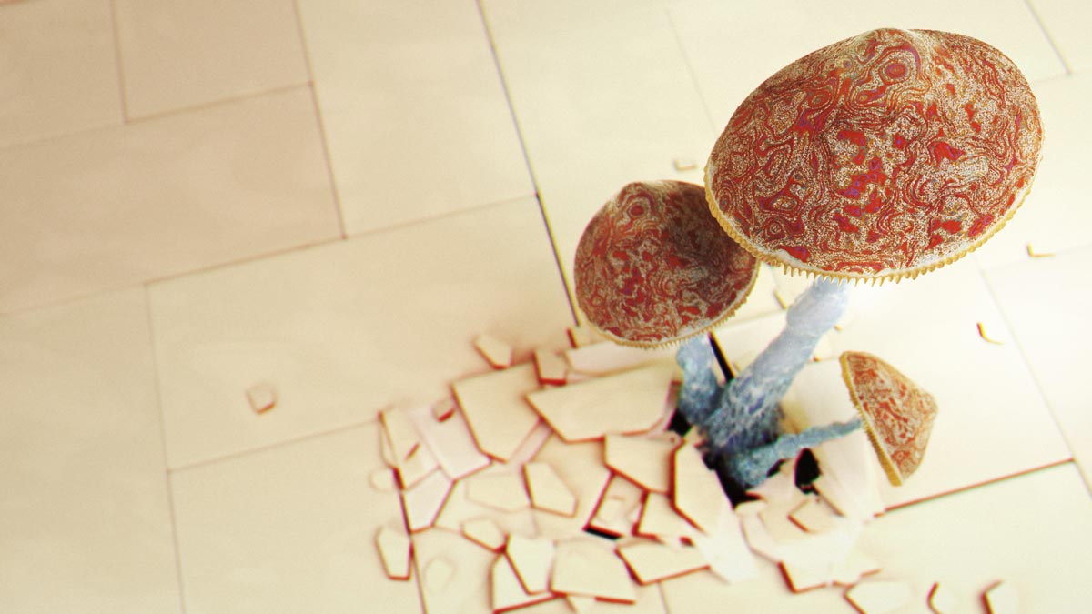 Mushroom in bathroom rendering