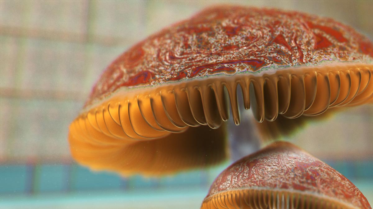 Mushroom in bathroom rendering